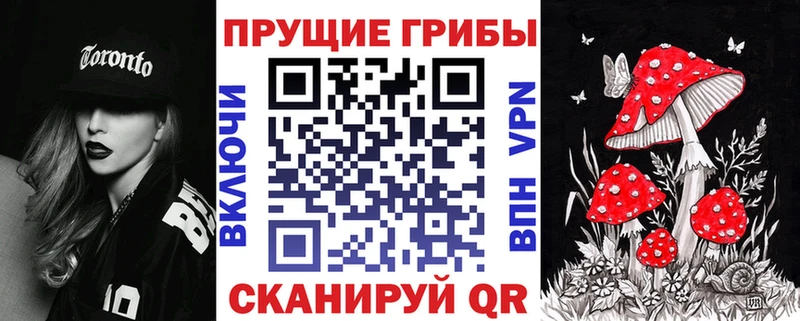 Галлюциногенные грибы Cubensis  Купить где  Таруса 
